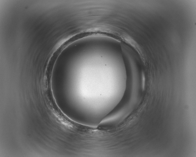 X0000081600876200701151336