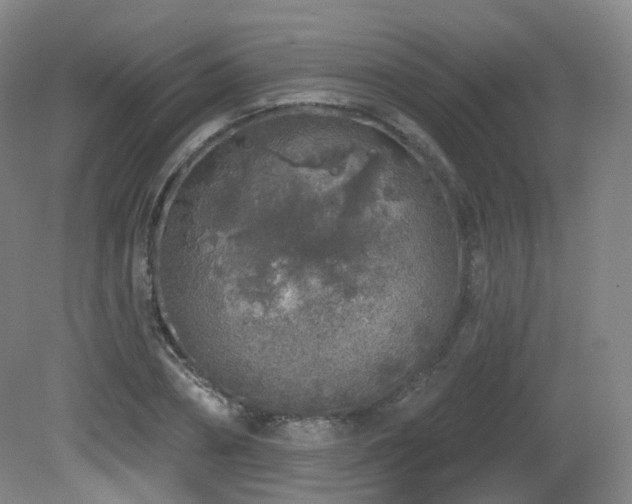 X0000081600882200701151336