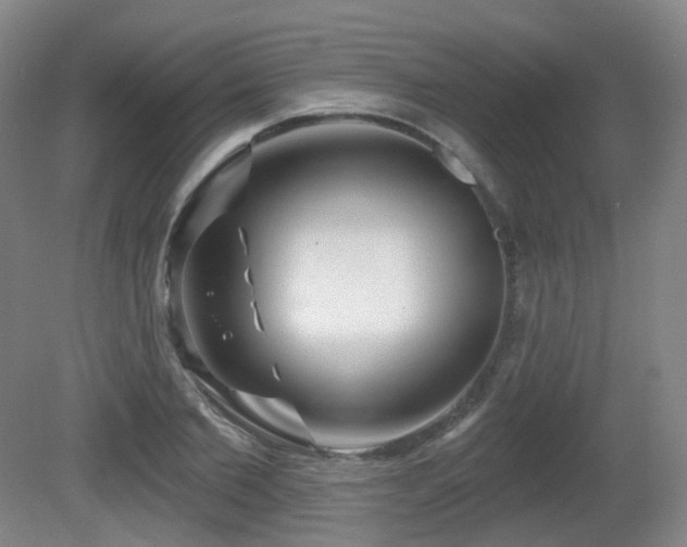 X0000081600885200701151336
