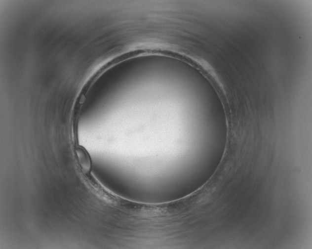 X0000081600887200701151336