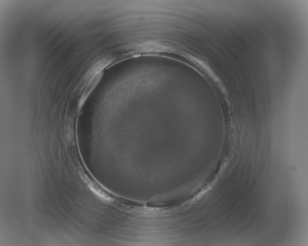 X0000081600889200701151336