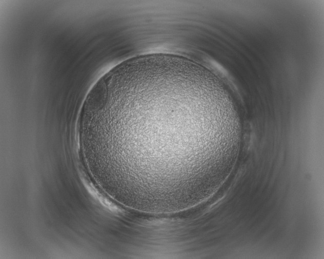 X0000081600892200701151336