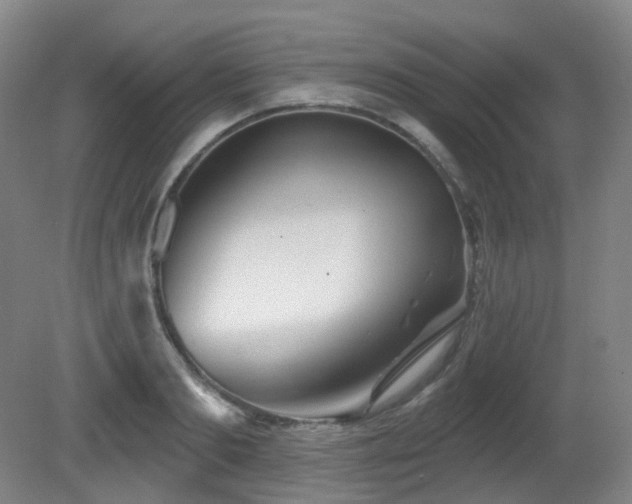 X0000081600893200701151336