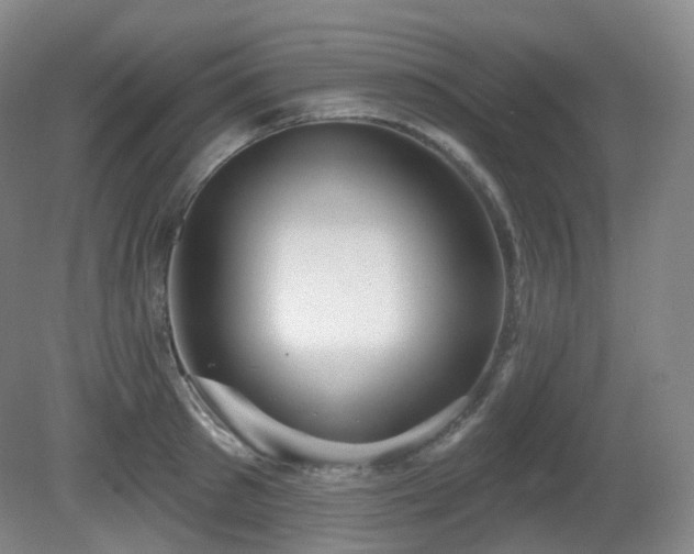 X0000081600897200701151336