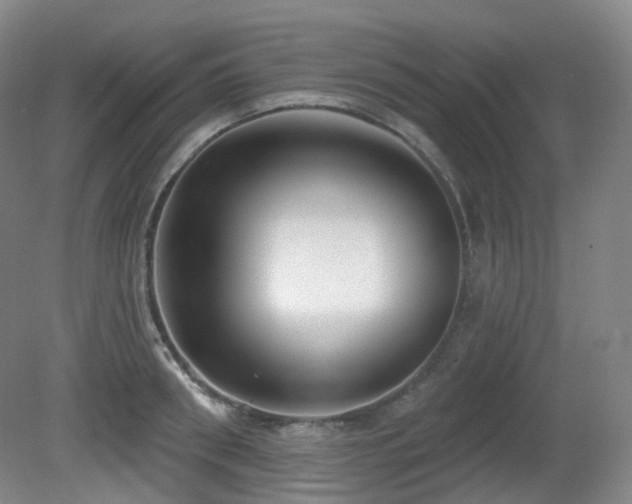 X0000081600898200701151336