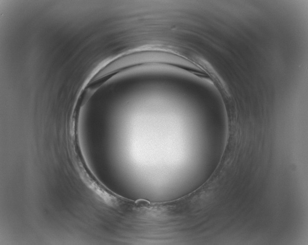 X0000081600900200701151336