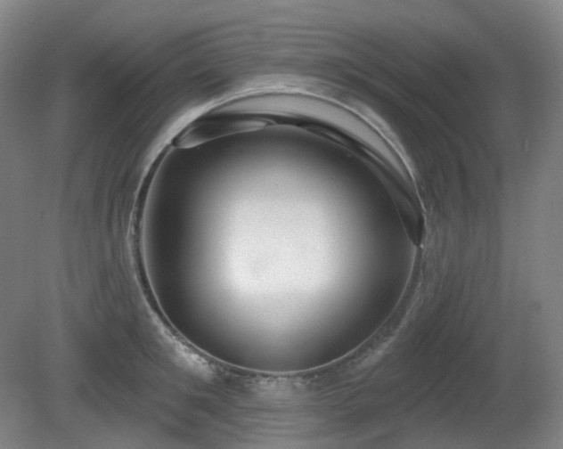 X0000081600901200701151336