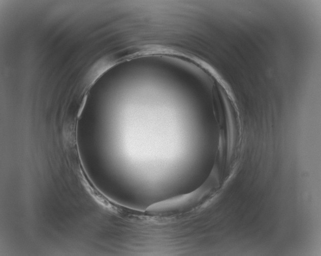 X0000081600905200701151336