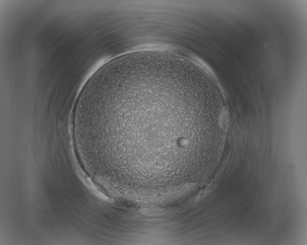 X0000081600907200701151336