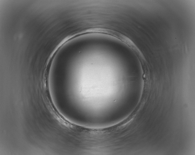 X0000081600908200701151336