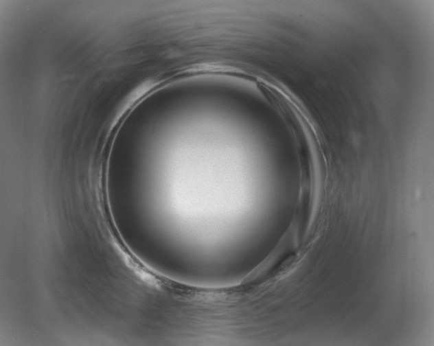 X0000081600909200701151336