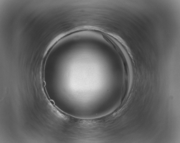 X0000081600910200701151336