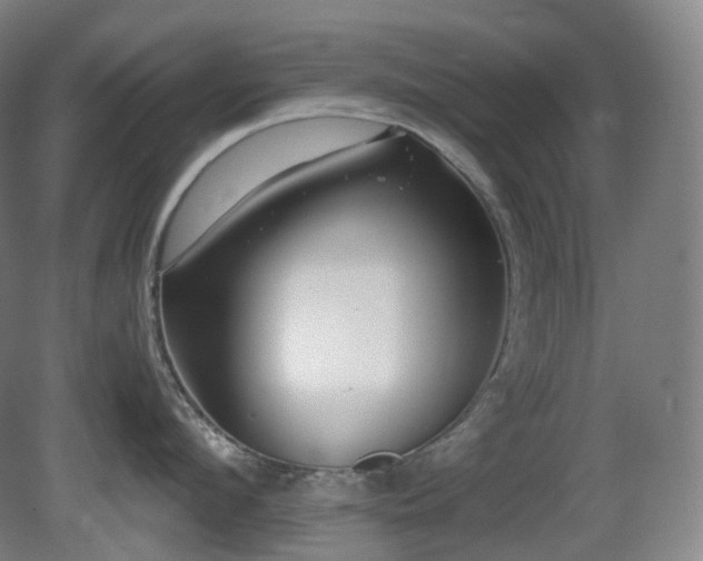 X0000081600912200701151336