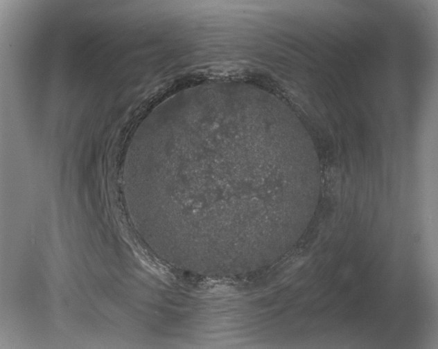 X0000081600913200701151335