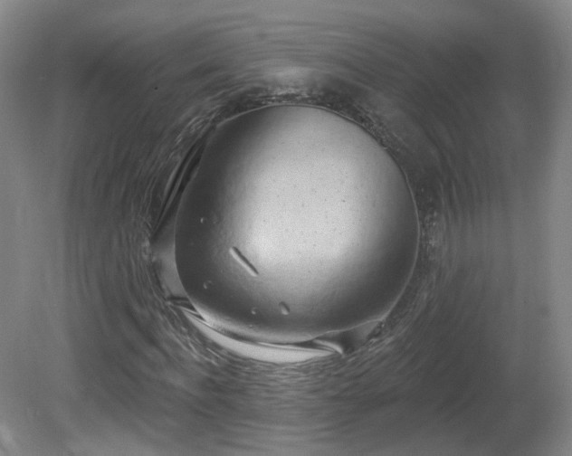 X0000081600916200701151335