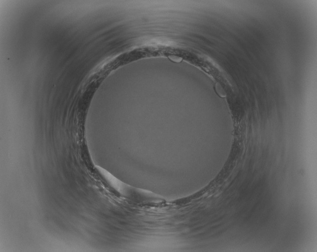 X0000081600919200701151335