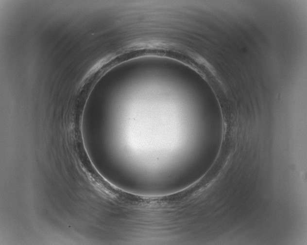 X0000081600922200701151335