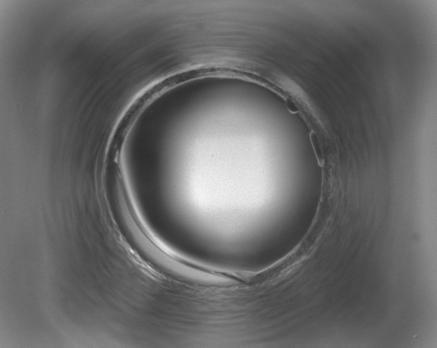 X0000081600924200701151335