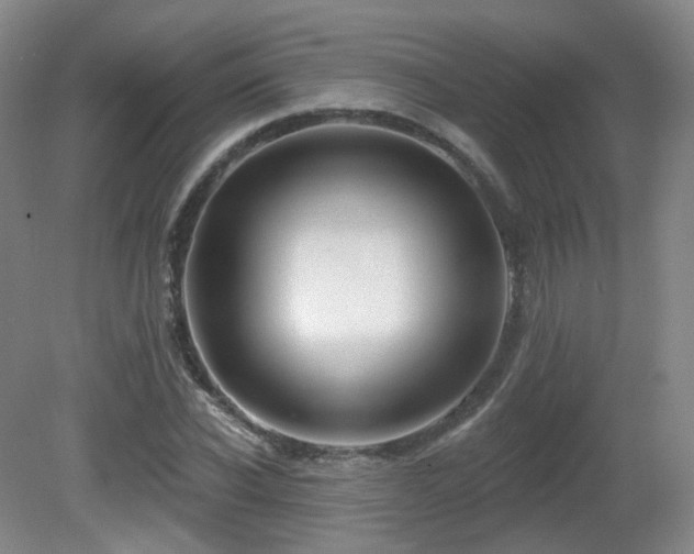 X0000081600926200701151335