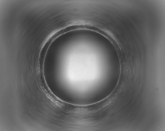X0000081600927200701151335