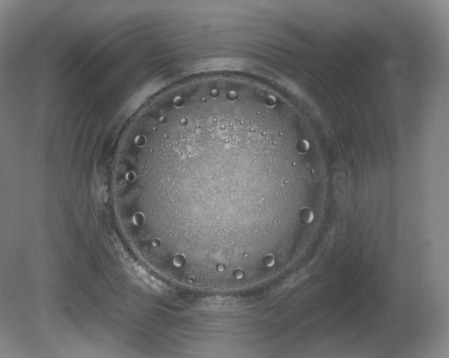 X0000081600929200701151335