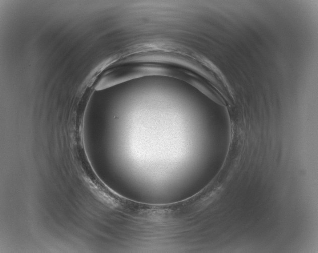 X0000081600930200701151335