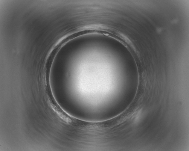 X0000081600931200701151335