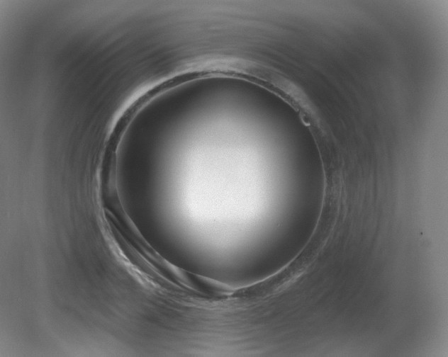 X0000081600936200701151335