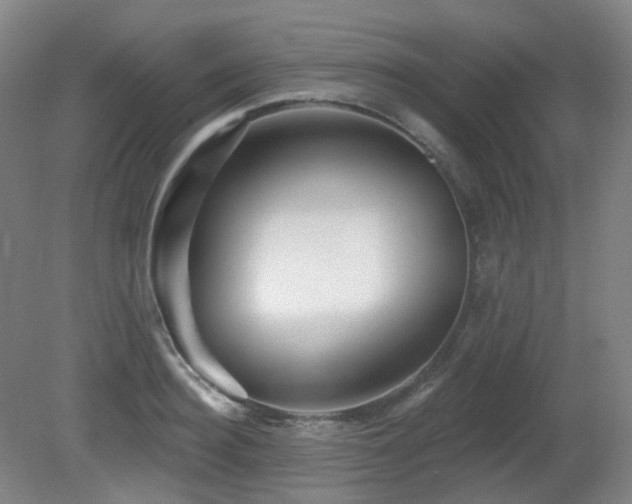 X0000081600940200701151335