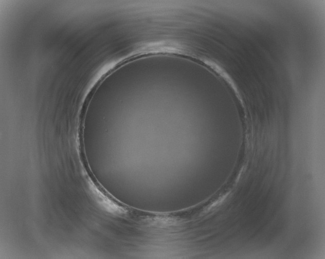 X0000081600941200701151335