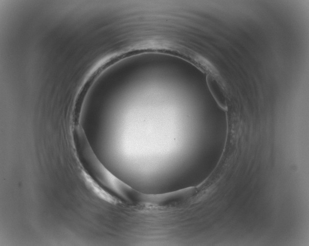 X0000081600942200701151335
