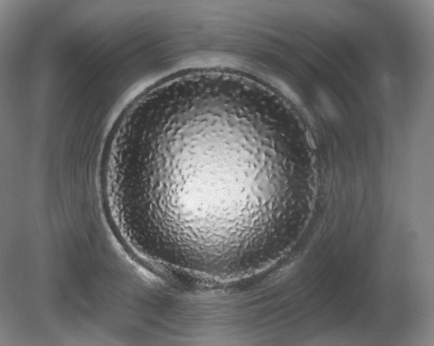 X0000081600943200701151335