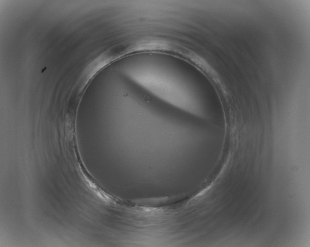 X0000081600945200701151335
