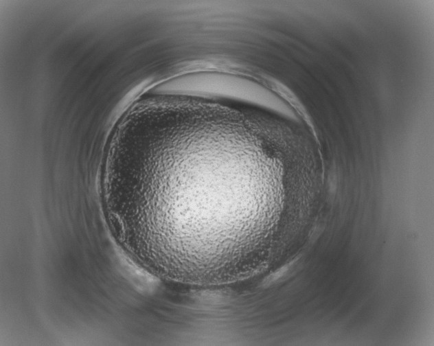 X0000081600946200701151335