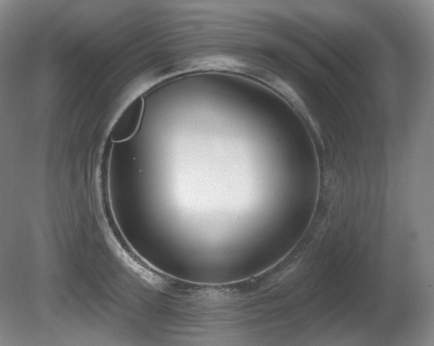 X0000081600947200701151335