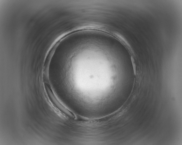 X0000081600948200701151335