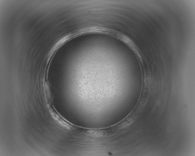 X0000081600954200701151336