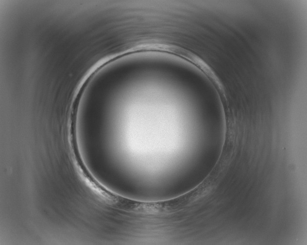 X0000081600955200701151336