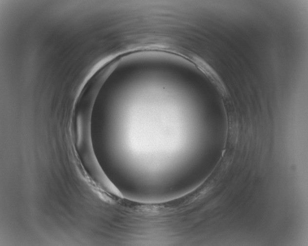 X0000081600956200701151336