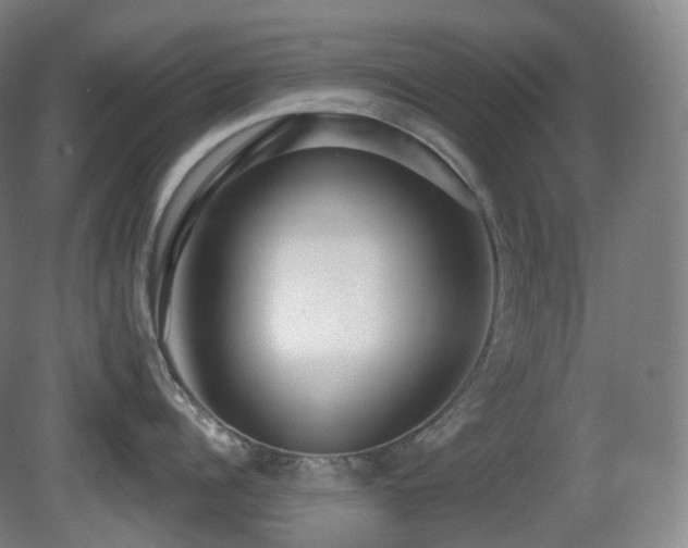 X0000081600960200701151336
