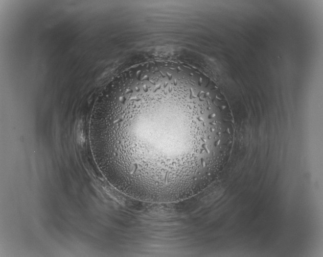 X0000081600962200701151335