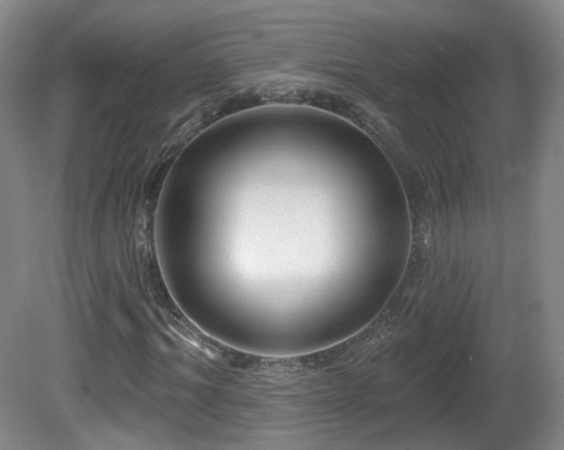 X0000081600964200701151335