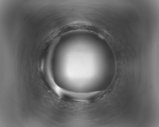 X0000081600965200701151335