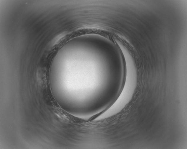 X0000081600968200701151335