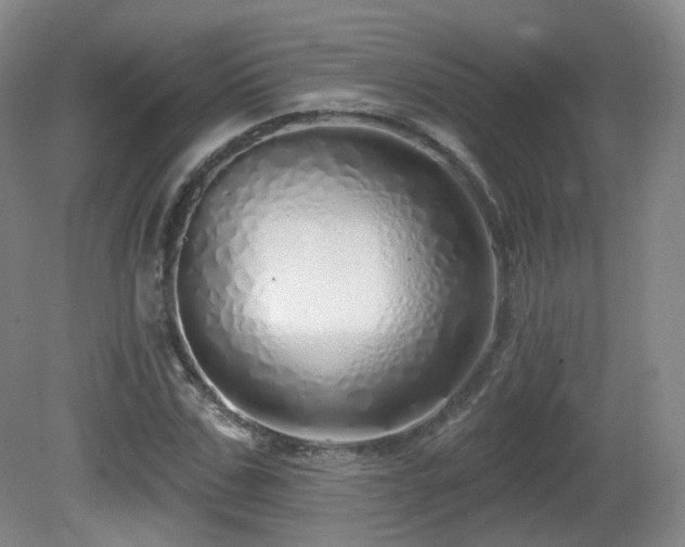 X0000081600971200701151335