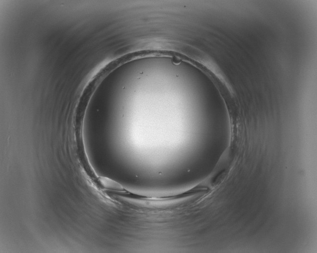 X0000081600972200701151335