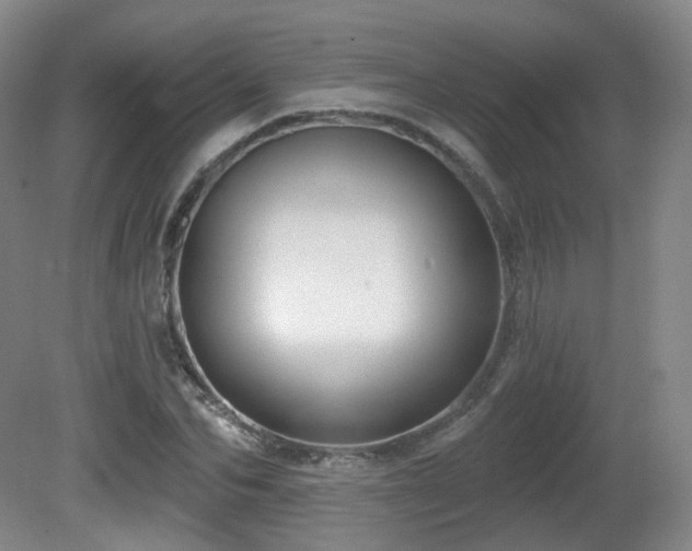 X0000081600974200701151335