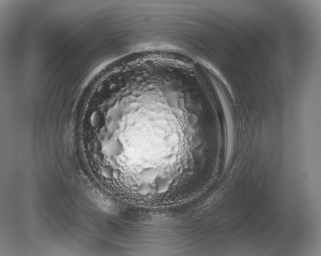 X0000081600975200701151335