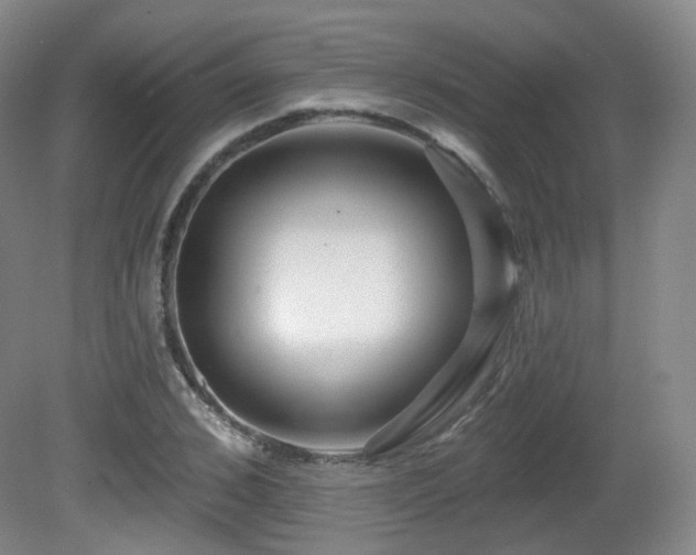 X0000081600976200701151335
