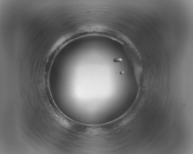 X0000081600978200701151334